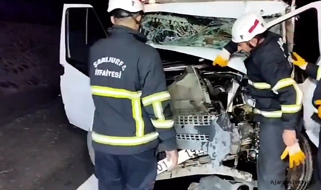 Urfa-Antep yolunda feci kaza!