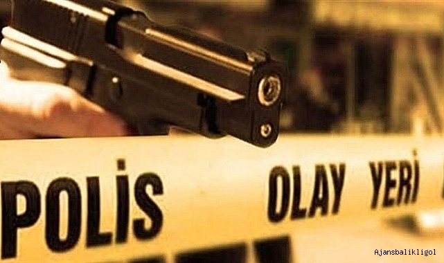 Urfa'da bir şahıs husumetlisini silahla vurdu!