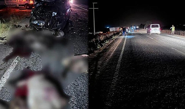 Urfa'da feci kaza! 22 koyun telef oldu