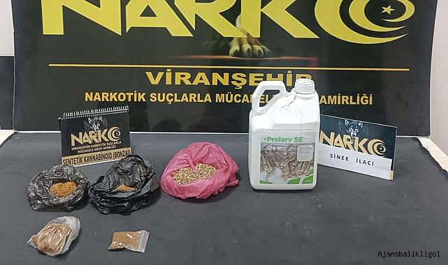 Urfa'da gençleri zehirlemek için sinek ilacı bile kullanıyorlar