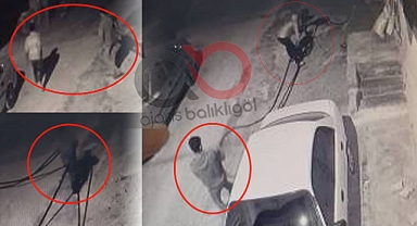 Urfa'da merdivenli hırsızlar pes dedirtti! Ne varsa çalıyorlar