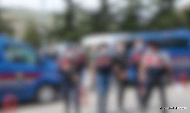 Viranşehir'deki cinayetin zanlısı mısır tarlasında yakalandı