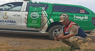 Yaralı halde bulunan Turaç Kuşu, HAYDİ tarafından koruma altına alındı