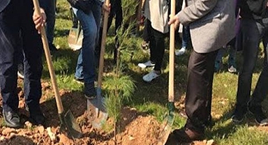 5 milyon 2023 fidan toprakla buluşturulacak!