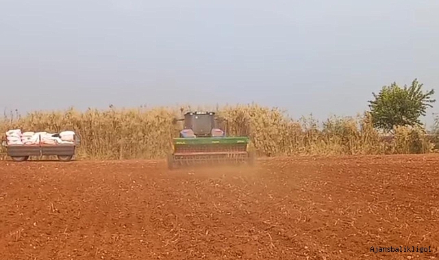 Buğday ekim tarihi bir ay ileri kaydı!