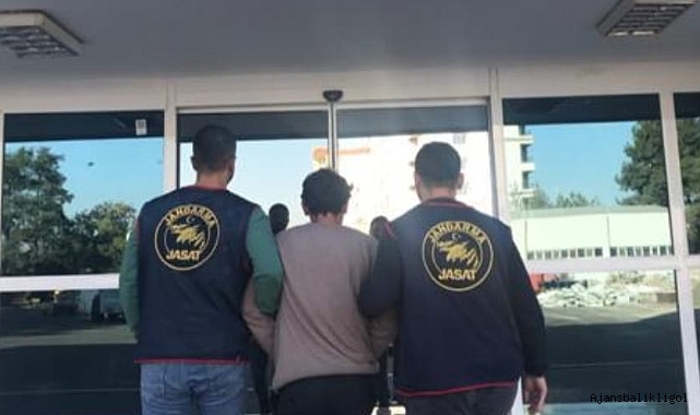 Dolandırıcılık suçundan aranan firari şahıs yakalandı