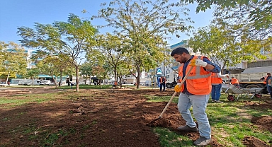 Eyyübiye yeşile bürünüyor