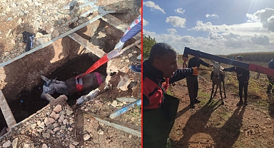 Foseptik çukuruna düşen eşeğin yardımına itfaiye ekipleri yetişti