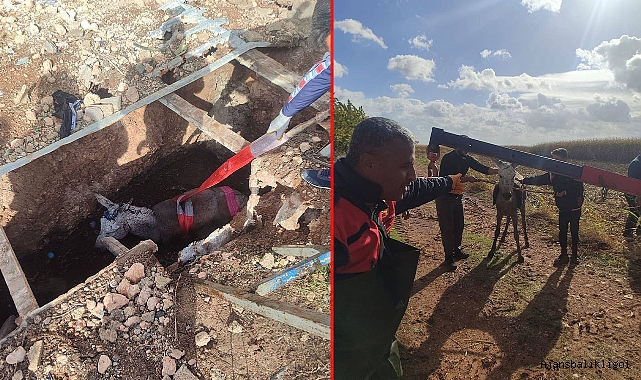 Foseptik çukuruna düşen eşeğin yardımına itfaiye ekipleri yetişti