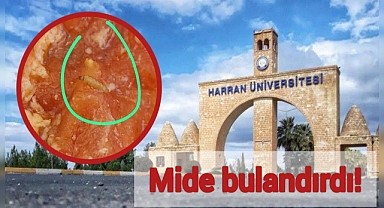 Harran Üniversitesi  yemekhanesinde mide bulandıran görüntü!