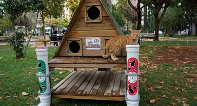 Karaköprü'de parklara kedi evleri yerleştiriliyor