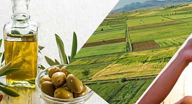 Tarımsal destek ödemeleri hesaplara aktarılıyor 