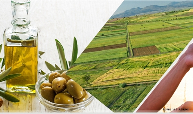 Tarımsal destek ödemeleri hesaplara aktarılıyor