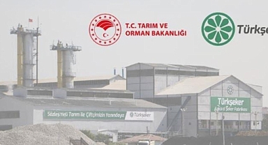 Türkşeker'e 115 sürekli işçi alımı yapılacak! 