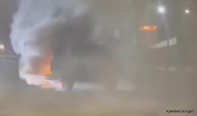 Urfa'da bir araç cayır cayır yandı