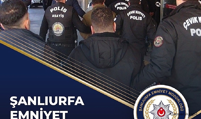 Urfa'da oto hırsızlarına operasyon! 4 tutuklama
