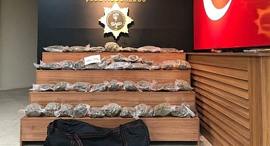 Urfa’da uyuşturucuya geçit yok! Kilolarcası ele geçirildi