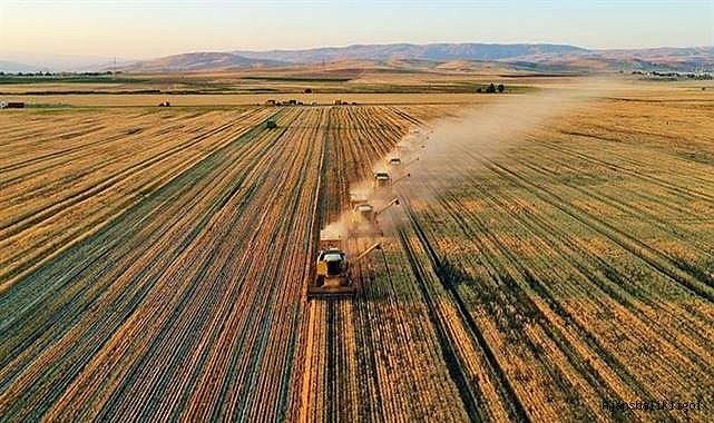 Bakan açıkladı! Çiftçilerin hesaplarına aktarıldı! 