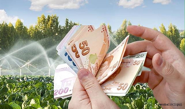 GES kurmak yerine enerjiye devasa bütçe ayrıldı: Miktarı dudak uçuklattı