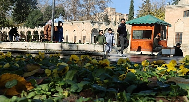 Rengarenk çiçekler Şanlıurfa sokaklarını süsleyecek