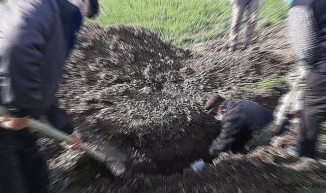 Şanlıurfa’da 6 ailenin acı günü!