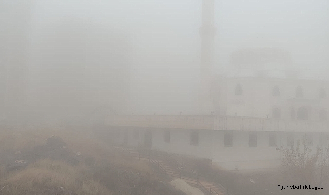 Şanlıurfa'da sis etkili oluyor!