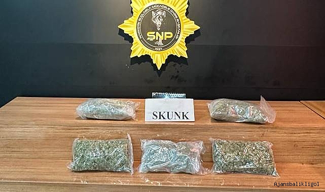 Şanlıurfa’da uyuşturucu operasyonu! 1 gözaltı