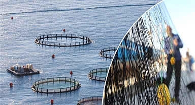 Su ürünleri yetiştiricilerine verilecek destekler belirlendi