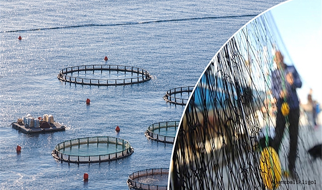 Su ürünleri yetiştiricilerine verilecek destekler belirlendi