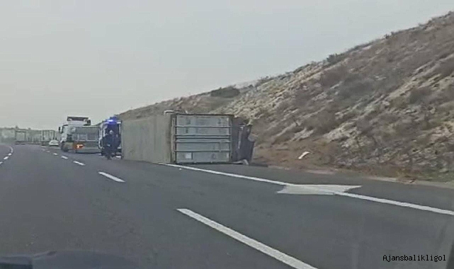 Urfa-Antep yolunda kaza! Kontrolden çıkan TIR devrildi