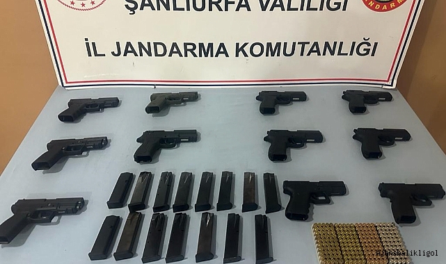 Urfa'da silah kaçakçılarına yönelik operasyon! 3 gözaltı