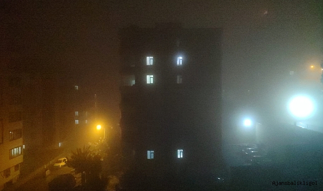 Urfa'da sis etkili oluyor!