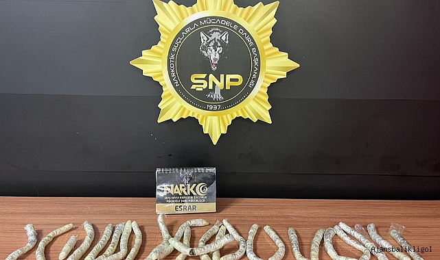 Urfa'da uyuşturucu operasyonu! Zehir taciri yakalandı