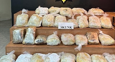 Urfa'da yüklü miktarda ele geçirildi! 4 gözaltı 