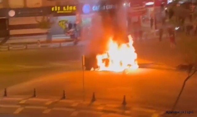 Urfa'nın göbeğinde korkutan yangın!