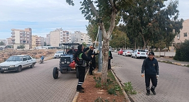 Viranşehir'de yeşil alanlarda hummalı çalışma