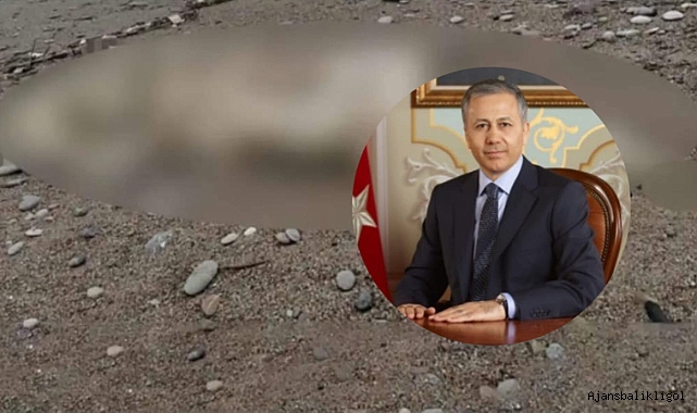 Bakan Yerlikaya'dan sahillere vuran cesetler ile ilgili açıklama!