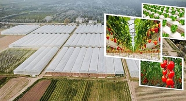 Bakan Yumaklı: 391 milyon TL kredi desteği sunuldu