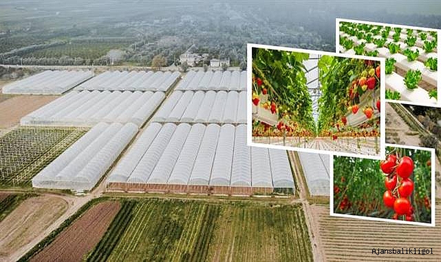 Bakan Yumaklı: 391 milyon TL kredi desteği sunuldu