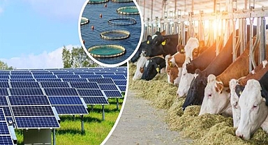 Bakanlık açıkladı! 19 Şubat'a kadar devam edecek