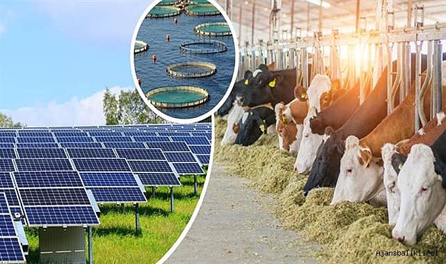 Bakanlık açıkladı! 19 Şubat'a kadar devam edecek