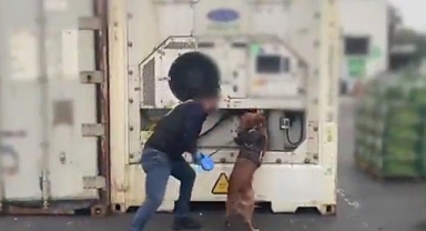 Bakanlık duyurdu! 77 kilo kokain ele geçirildi 