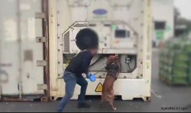 Bakanlık duyurdu! 77 kilo kokain ele geçirildi