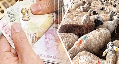 Bakanlıktan 6 milyon 225 bin TL'lik destek