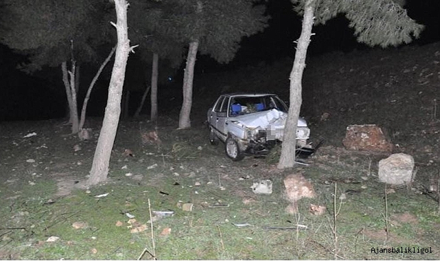 Ceylanpınar'da kontrolden çıkan araç uçuruma yuvarlandı