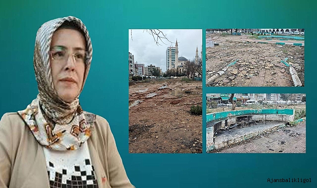 CHP'li Mehtap Rastgeldi Sakacı baltayı taşa vurdu