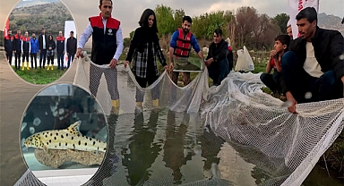  Dicle Nehri'nde leopar sazanı bulundu