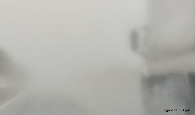 GAP Hava Limanı sise gömüldü!