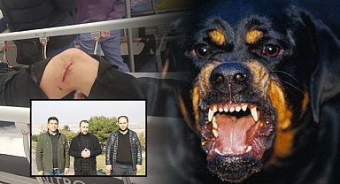 HÜDA PAR, başıboş köpek sorununu gündeme taşıdı