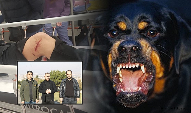 HÜDA PAR, başıboş köpek sorununu gündeme taşıdı